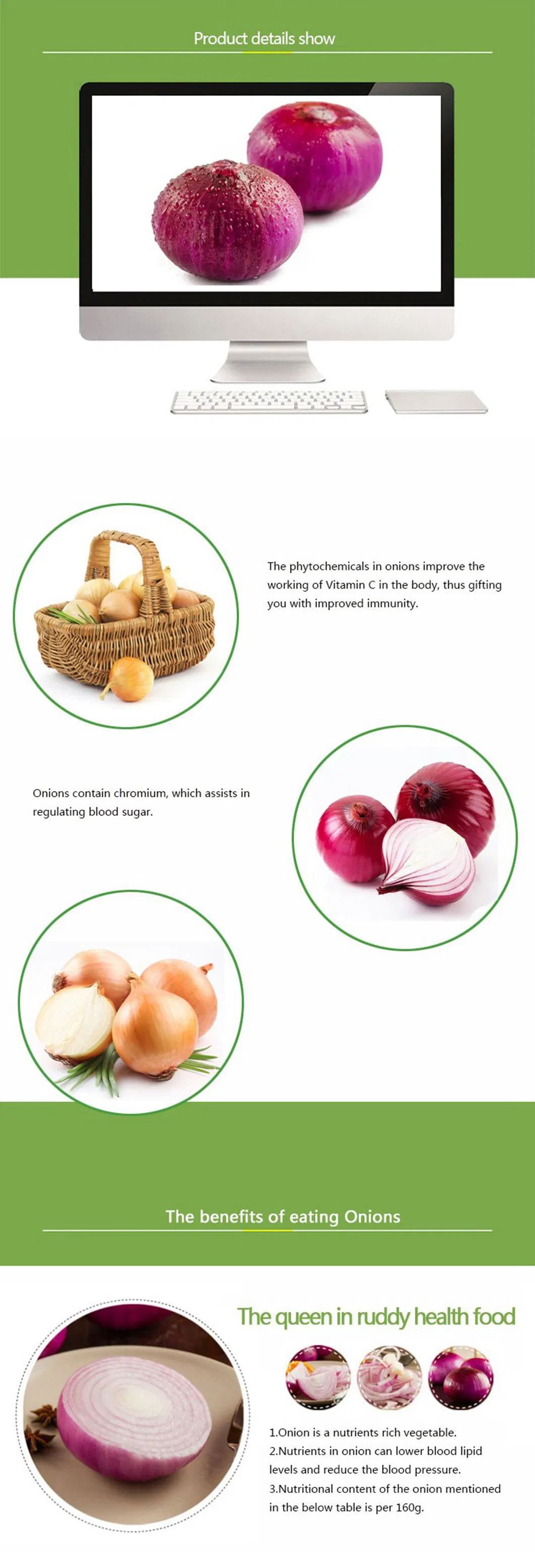 Peeled Onion Exporting Nethelands and UK