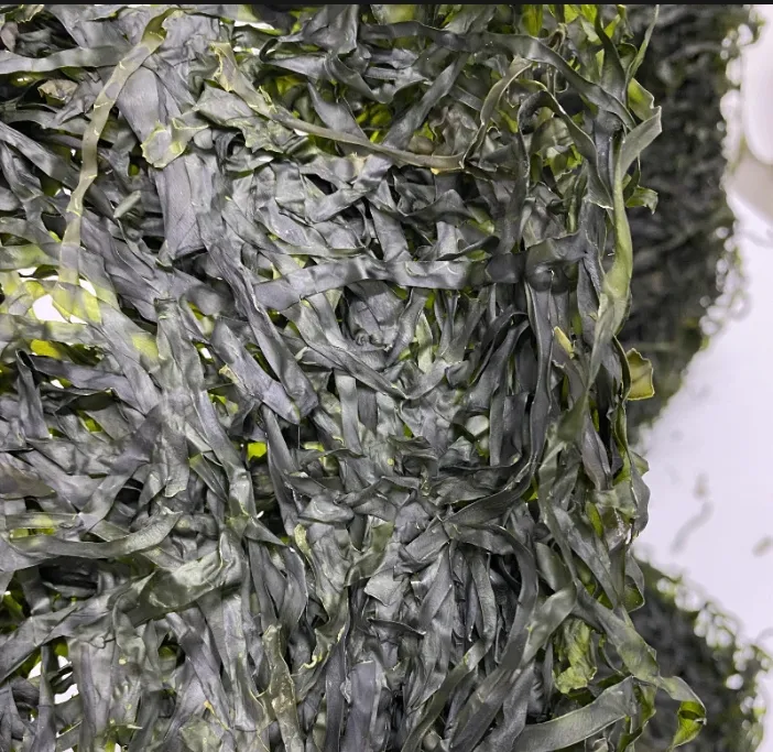 Fujian Origin No Sand High Swelling Natural Machine Dried Seaweed Kelp Cut /Slice2-3mm Factory Price OEM Package