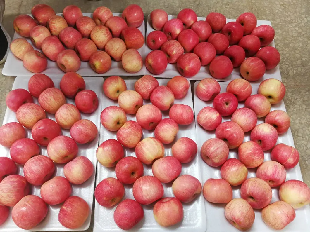 Paper Bagged FUJI of Shandong Yantai