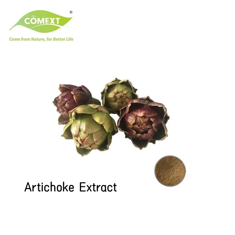 Natural Plant Extract Artichoke Leaf Extract Powder Artichoke Extract Cynara Scolymus Powder