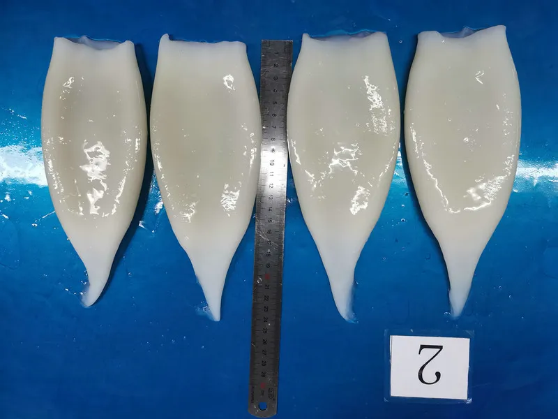 Frozen Illex Squid Tube, /Todarodes Squid Tube/Gigas Squid Tube/ Giant Squid Tube/Peru Squid Tube/Calamari/ Calamar/Setong/ Pota/Seafood
