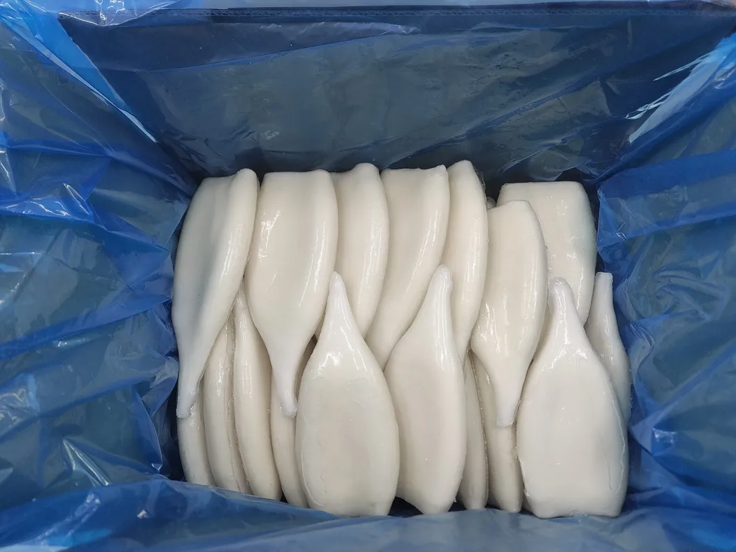 Frozen Illex Squid Tube, /Todarodes Squid Tube/Gigas Squid Tube/ Giant Squid Tube/Peru Squid Tube/Calamari/ Calamar/Setong/ Pota/Seafood