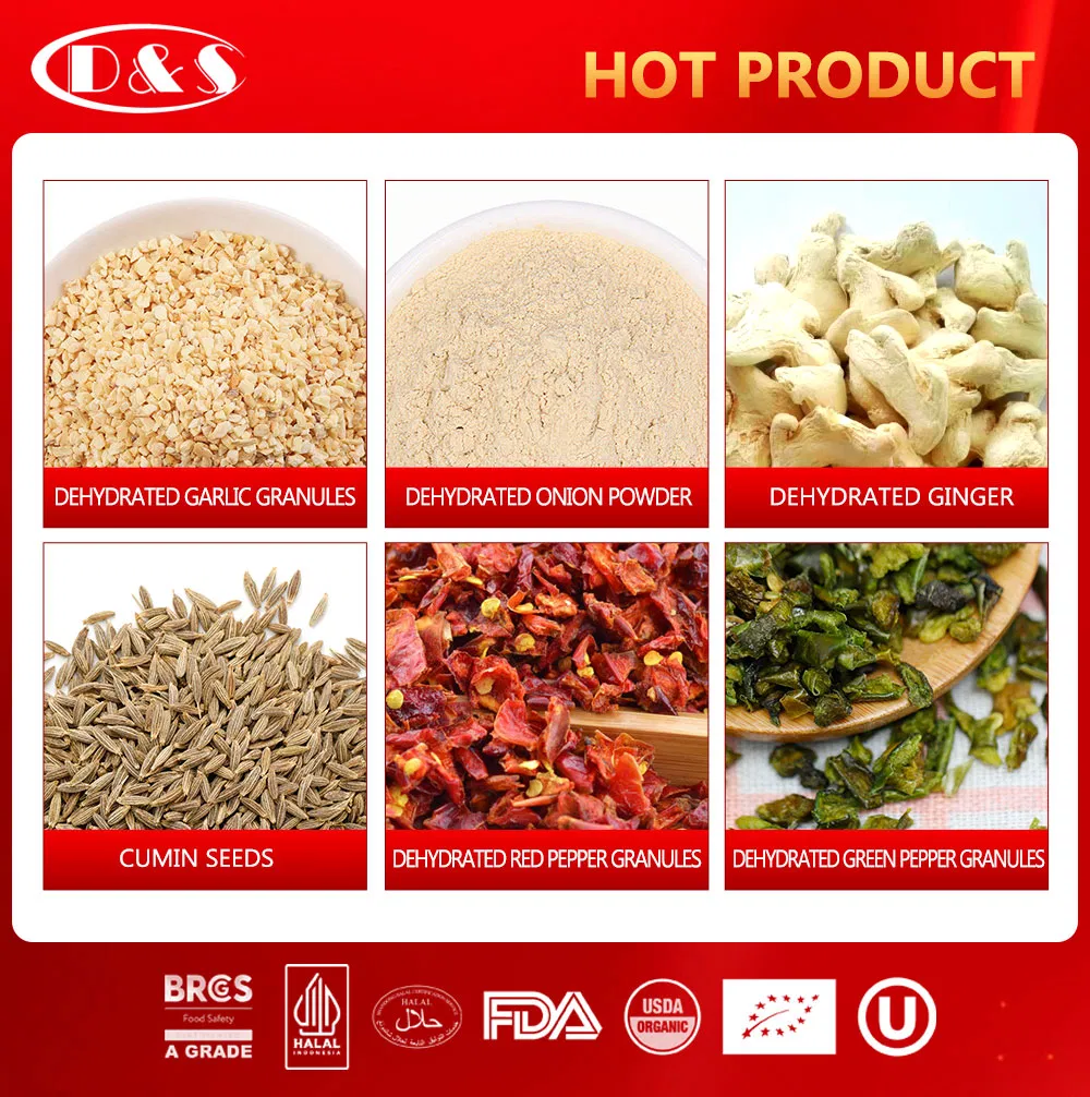 Factory Supply Fresh Crop Natural Dried Spices Dehydrated Ginger Granules of Cooking Herbs