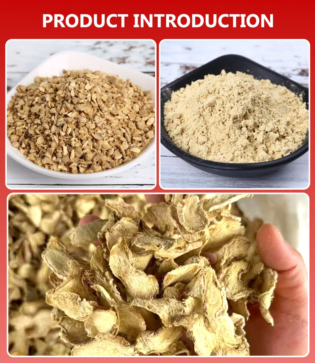 Factory Supply Fresh Crop Natural Dried Spices Dehydrated Ginger Granules of Cooking Herbs