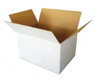 Premium Quality Canned Lychee/Lichi in Syrup From Zhangzhou China