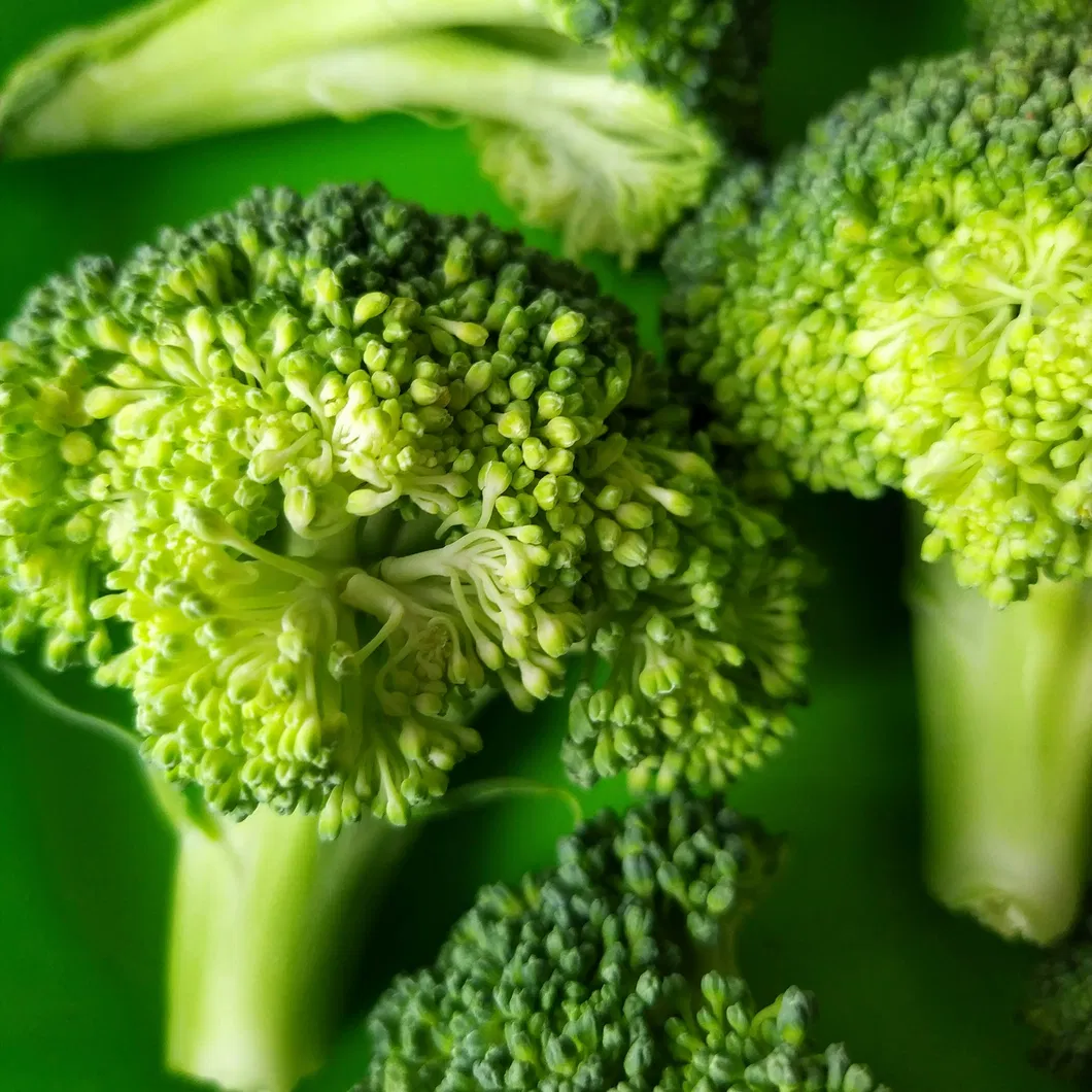 Fresh and Nutritious Quick-Cook Frozen Broccoli for Families