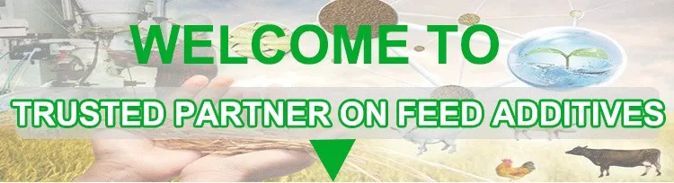 Feed Yeast Powder for Pig Growth Performance