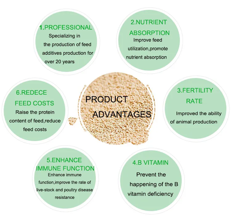 Feed Yeast Powder for Pig Growth Performance