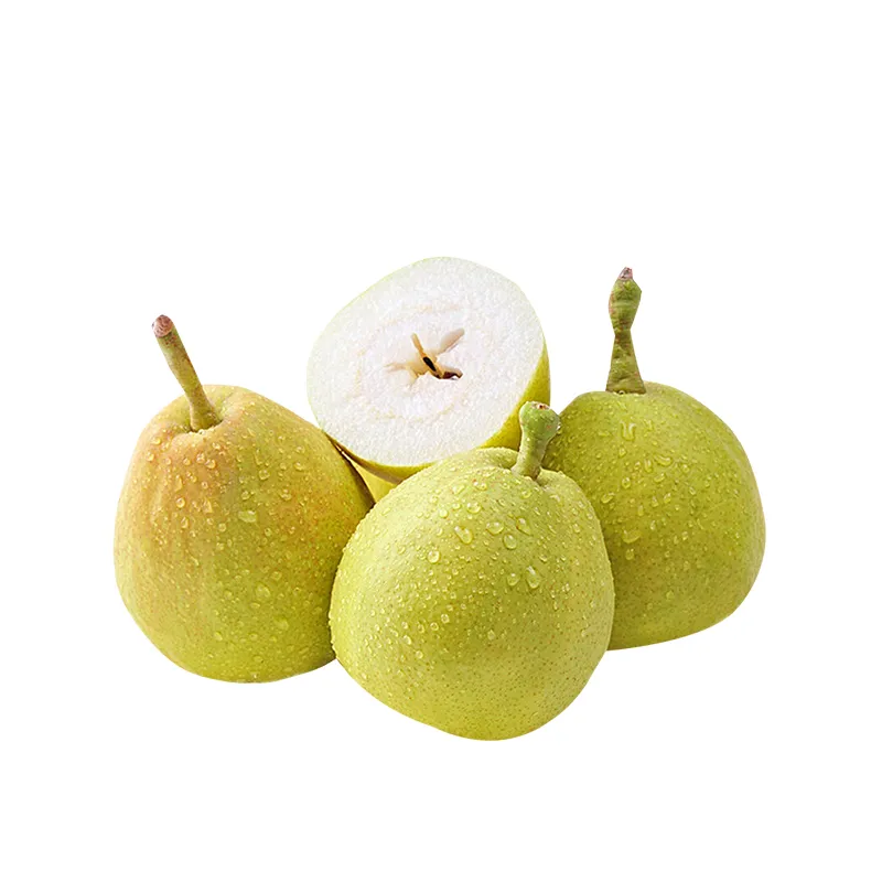 Export Quality Fresh Sweet Pear Sand Factory Wholesale Price
