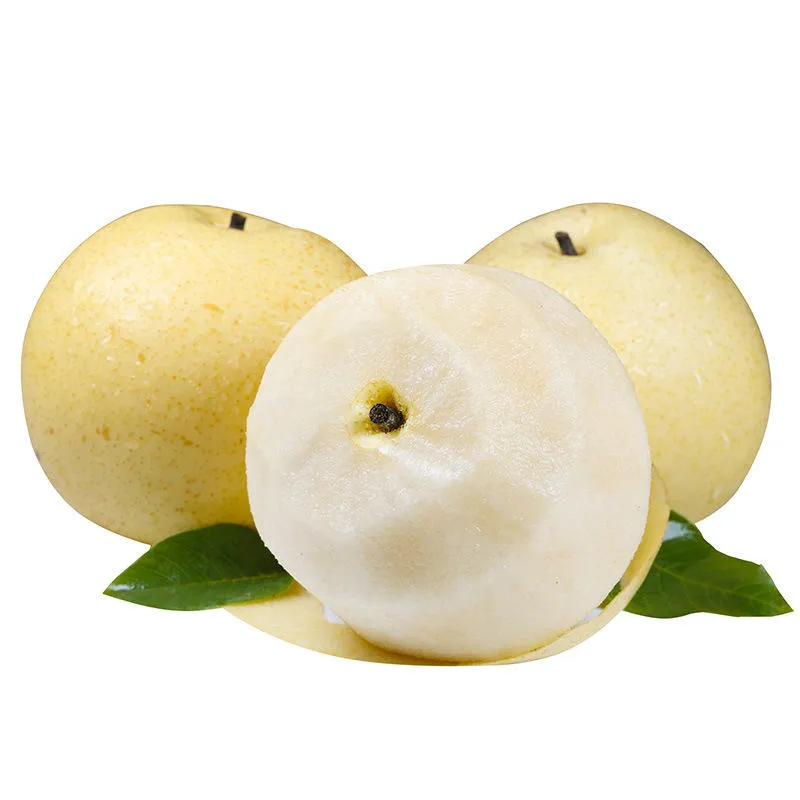 Export Quality Fresh Sweet Pear Sand Factory Wholesale Price