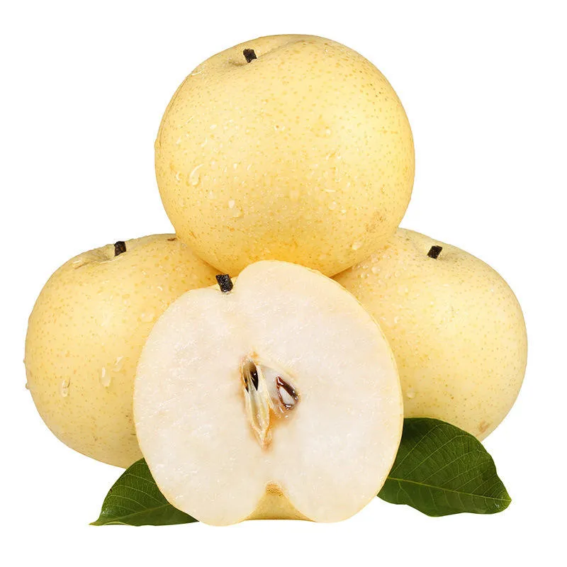 Export Quality Fresh Sweet Pear Sand Factory Wholesale Price