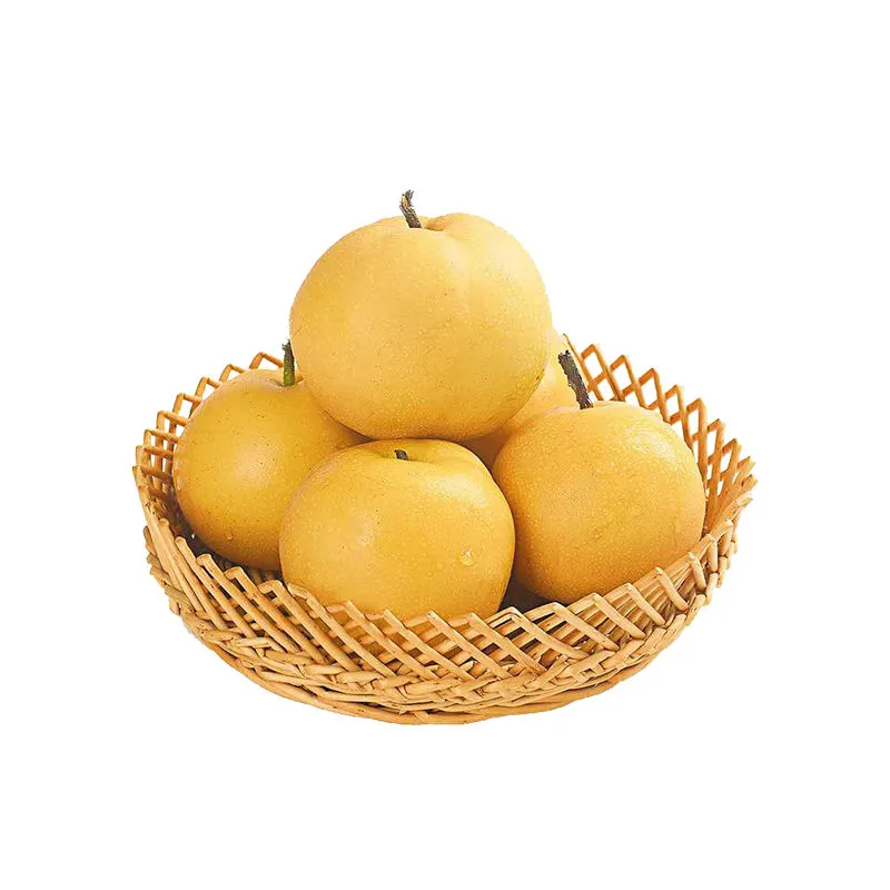 Export Quality Fresh Sweet Pear Sand Factory Wholesale Price