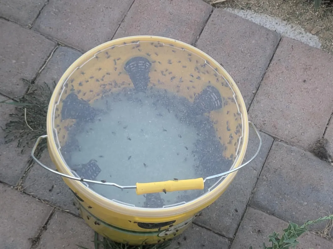 Fly Trap Bucket Big Bucket Fly Trap