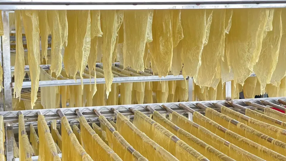 Best Selling Soybean Sheet High Quality Beancurd Rolls