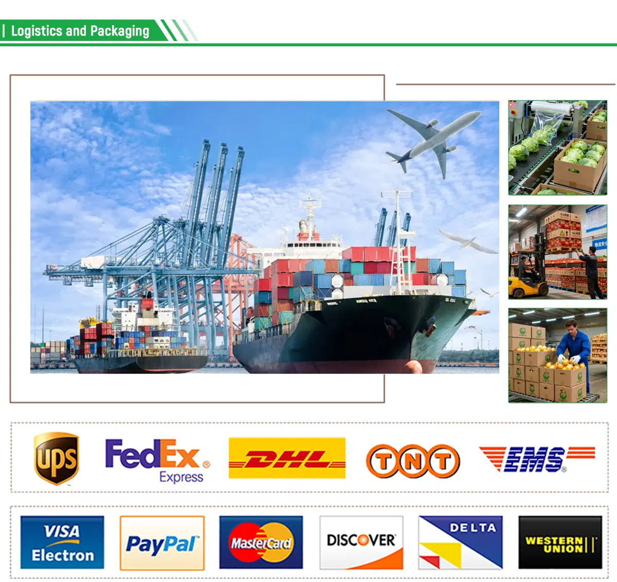 Pure Natural Organic Purple Skinned Garlic