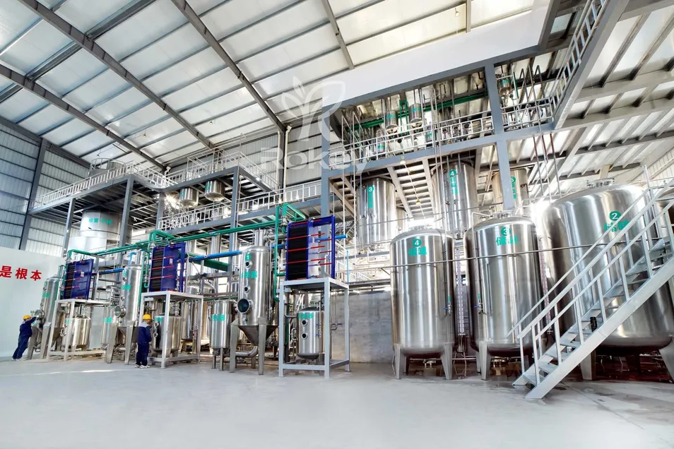 Manufacturer Supply 100% Natural EGCG, Tp (tea polyphenol) , Green Tea Extract