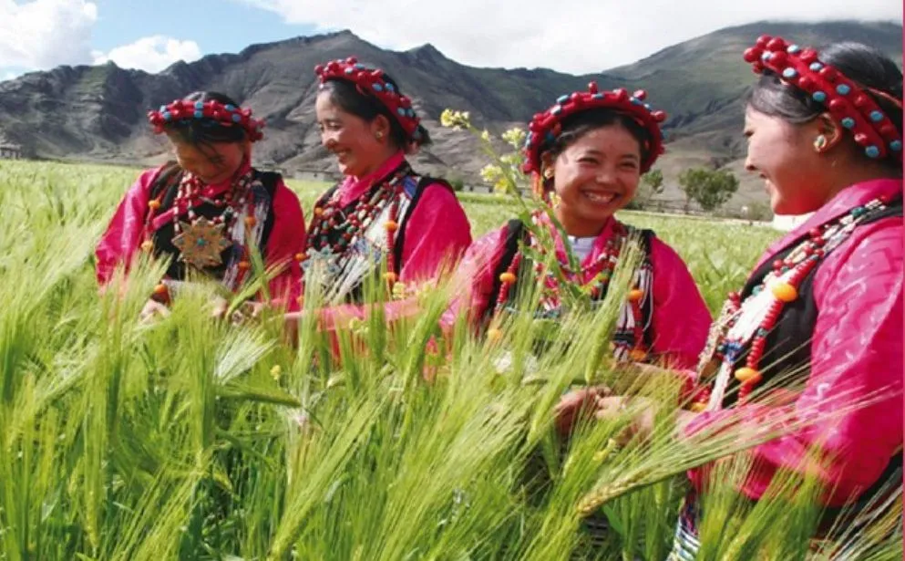 Yogurt-Filled Cookies — a Satisfying Whole-Grain Snack and Delicious Cereal Barley Biscuit for Guilt-Free Munching!