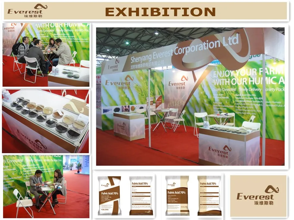 High Purity High Alginic Acid Water Soluble Organic Black Seaweed Extract Powder/Flake Fertilizer