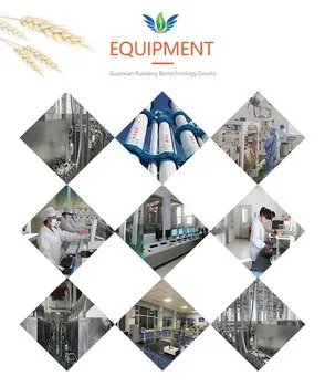 Food Grade 82% Wheat Gluten Vital Wheat Gluten for Bread