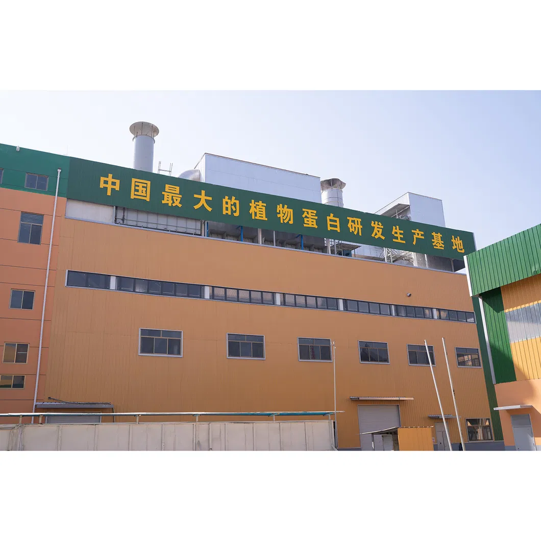 Food Grade 82% Wheat Gluten Vital Wheat Gluten for Bread