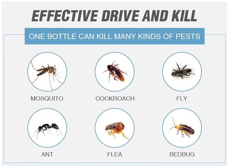 Campeon Insect Killer Spray Mosquito Cockroach Killing Aerosol Pesticide Insecticide