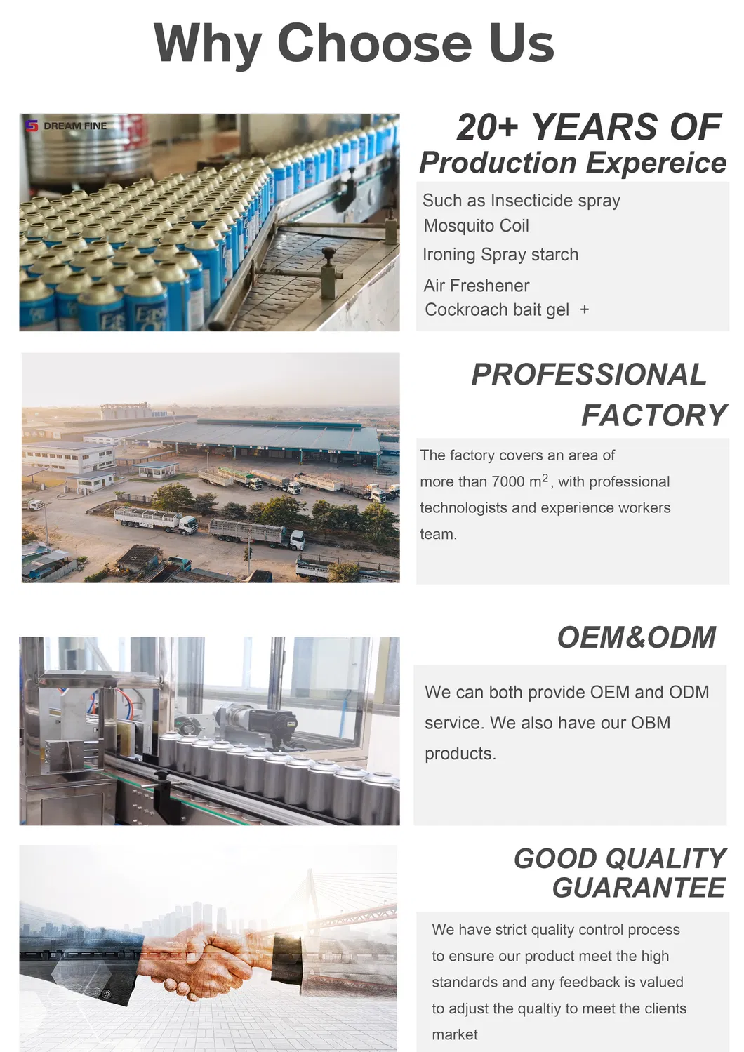 Campeon Insect Killer Spray Mosquito Cockroach Killing Aerosol Pesticide Insecticide