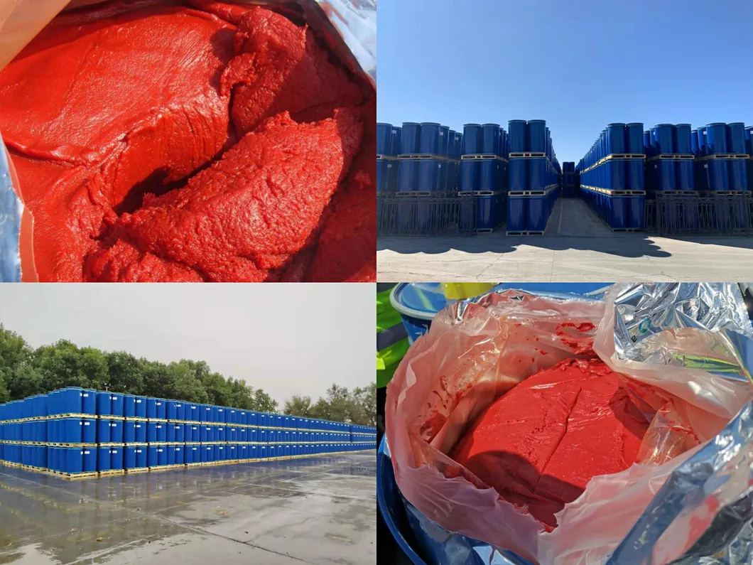100% Purity 36-38% CB Tomato Paste Tomato Concentrate European Standard