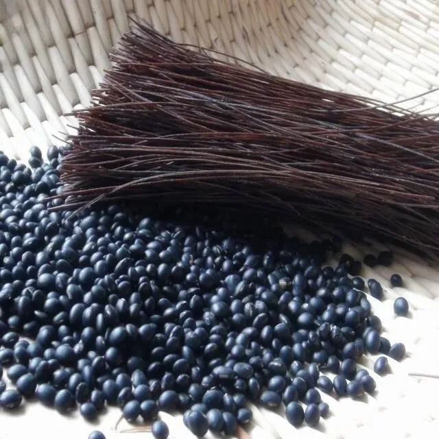 Healthy and Nutritious Organic Black Soybean Spaghetti