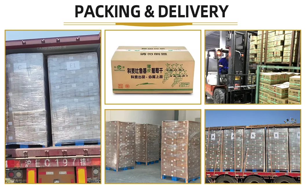 14 Rigorous Production Processes Hand-Selected Turpan Sultana Golden Sweet Raisin