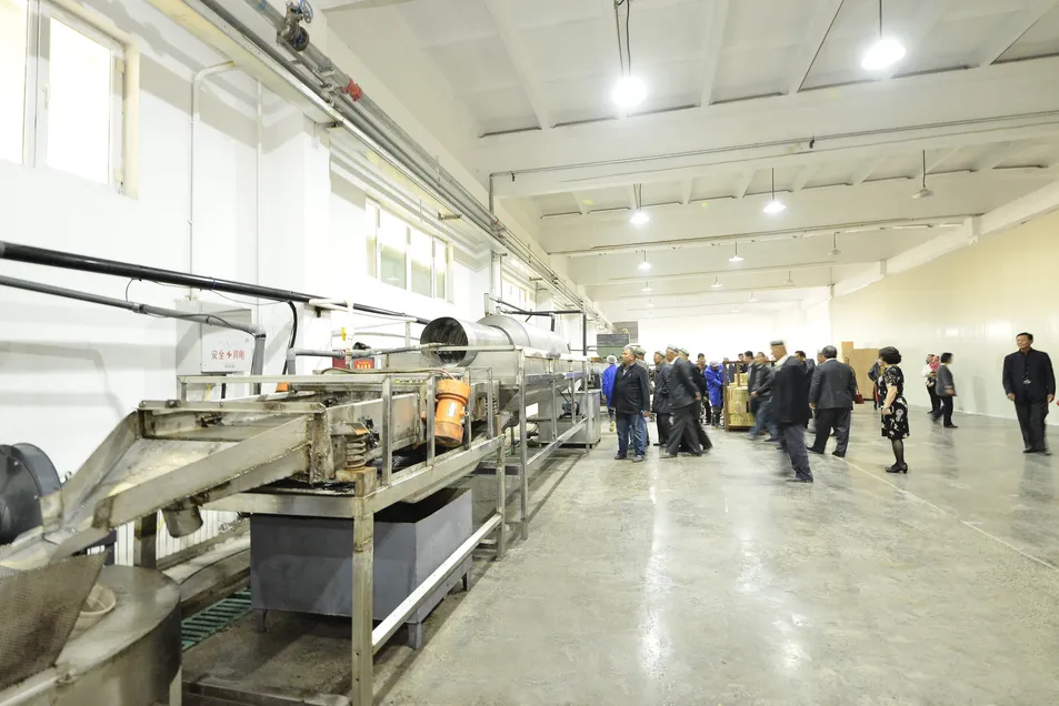 14 Rigorous Production Processes Hand-Selected Turpan Sultana Golden Sweet Raisin