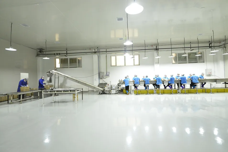 14 Rigorous Production Processes Hand-Selected Turpan Sultana Golden Sweet Raisin