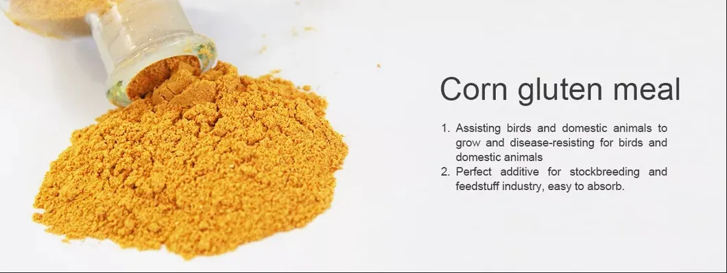 Corn Gluten Meal Direct From Manufacturer