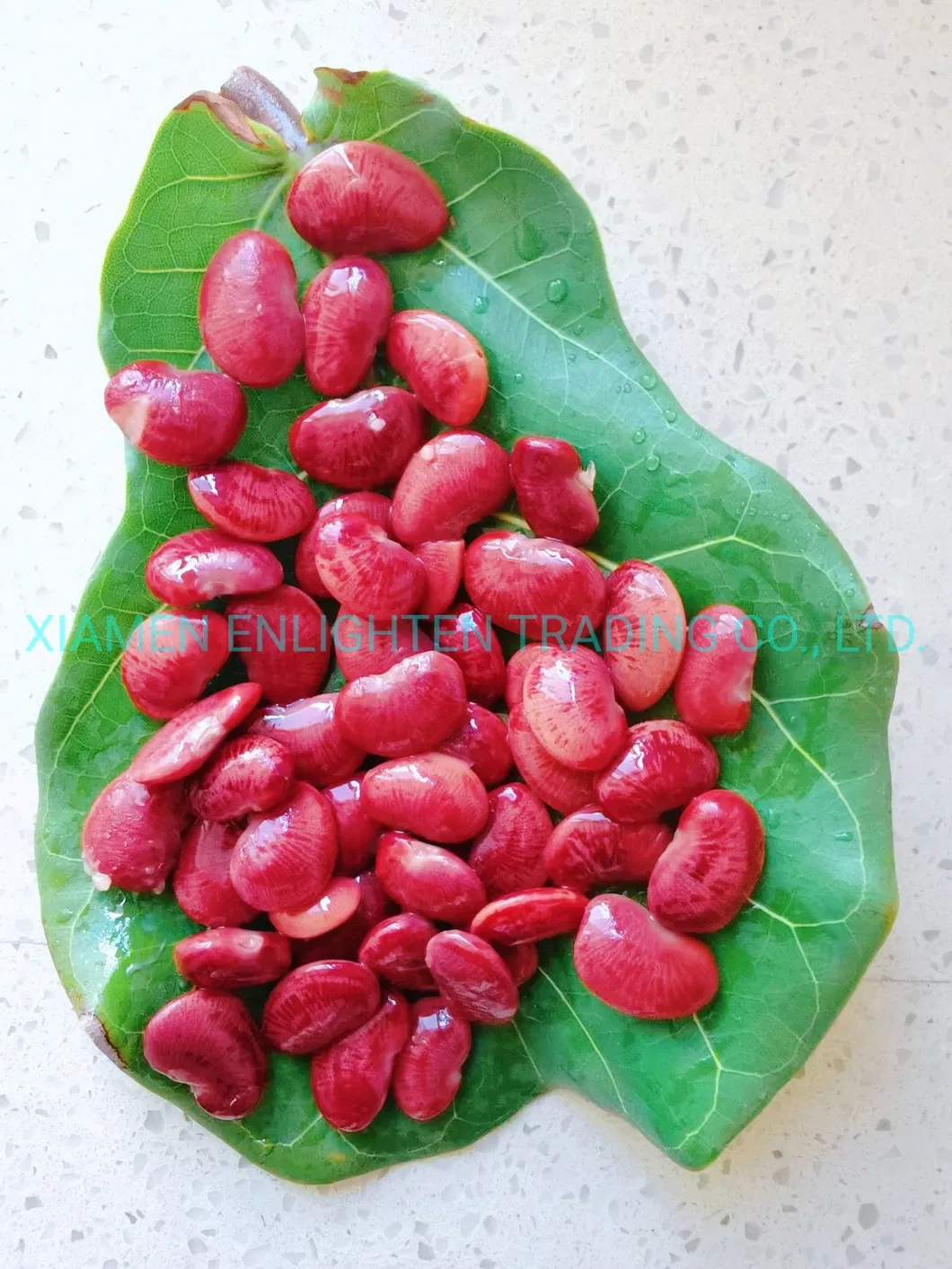 Saturated and Soft Canned Purse Bean or Canned Pouch Bean From China.