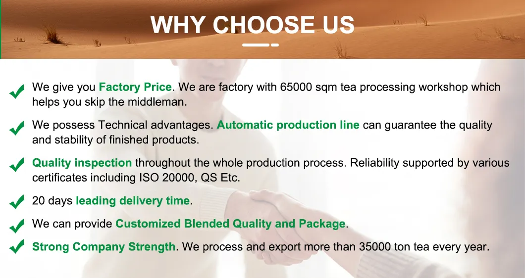 Recommend Private Tea Brand Zahra Green Tea Leaves with The Lowest Price and High Quality