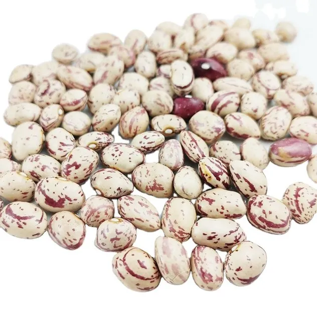 New Crop Best Price Light Speckled Kidney Beans