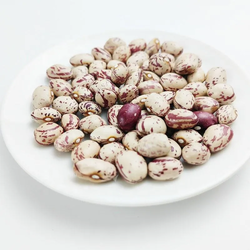 New Crop Best Price Light Speckled Kidney Beans