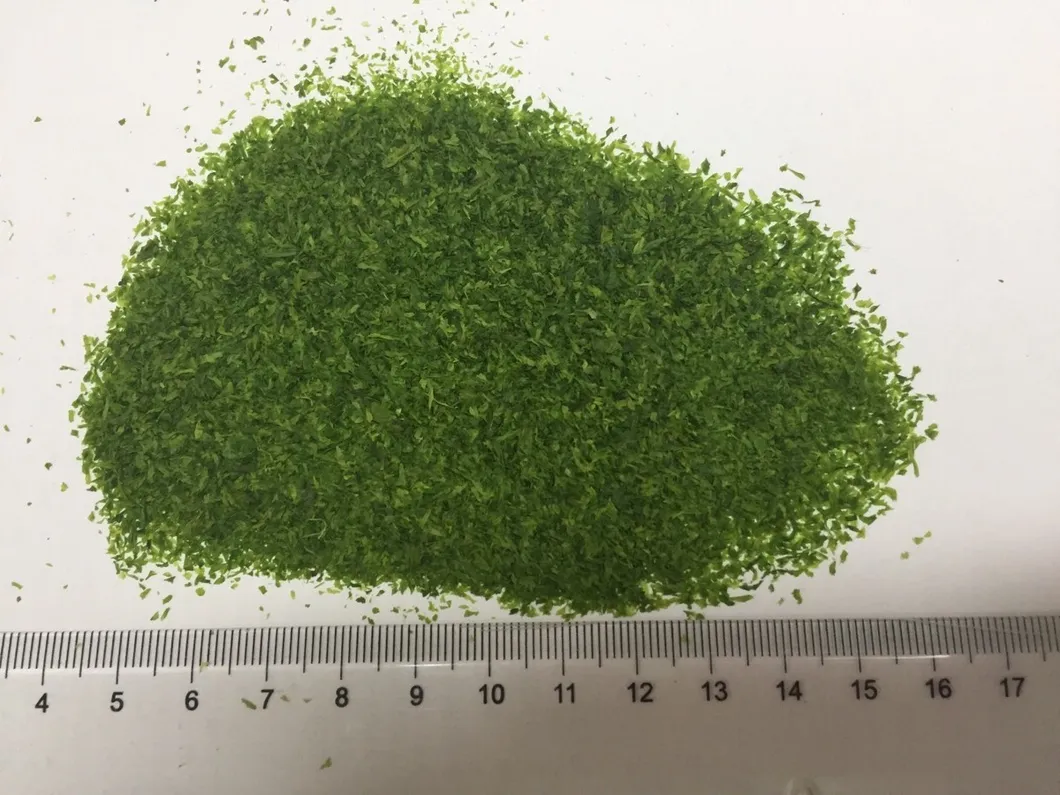 Factory Supply Natural Snacks Additives Dried Ulva Lactuca Green Seaweed Flakes