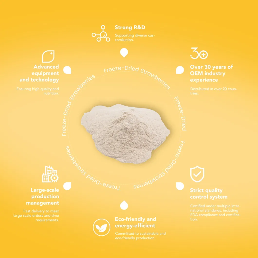 Premium Freeze Dried Banana Slices, Freeze Dried Fruit, Non-GMO Food Ingredient Direct Supply