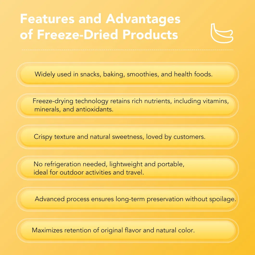 Premium Freeze Dried Banana Slices, Freeze Dried Fruit, Non-GMO Food Ingredient Direct Supply