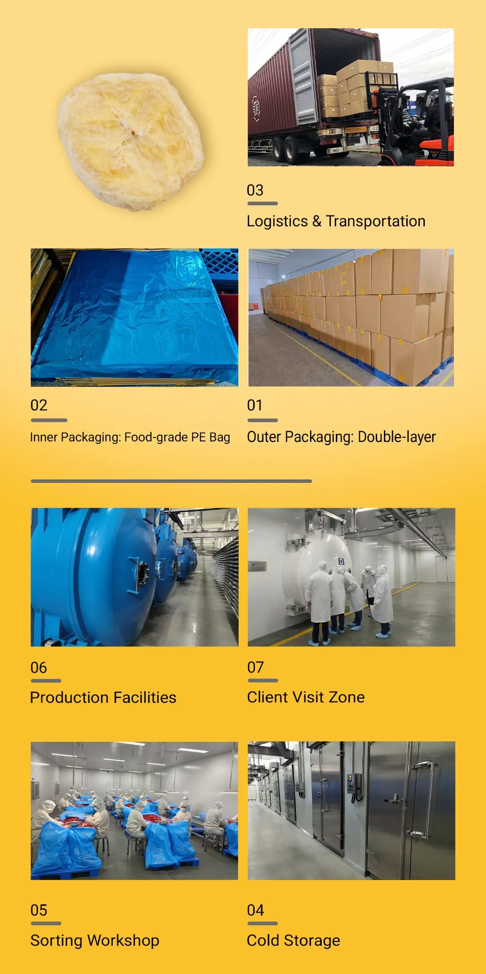 Premium Freeze Dried Banana Slices, Freeze Dried Fruit, Non-GMO Food Ingredient Direct Supply