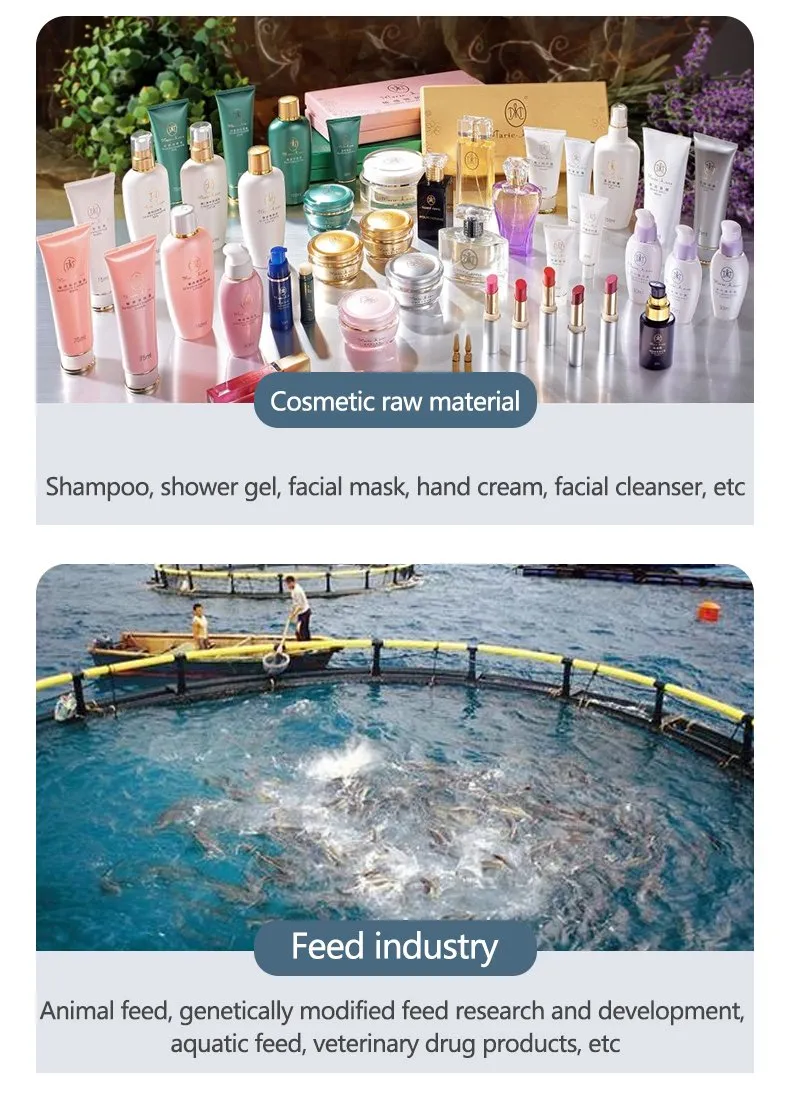 90% Soluble Beta Glucan for Skin From Yeast Saccharomyces Cerevisiae