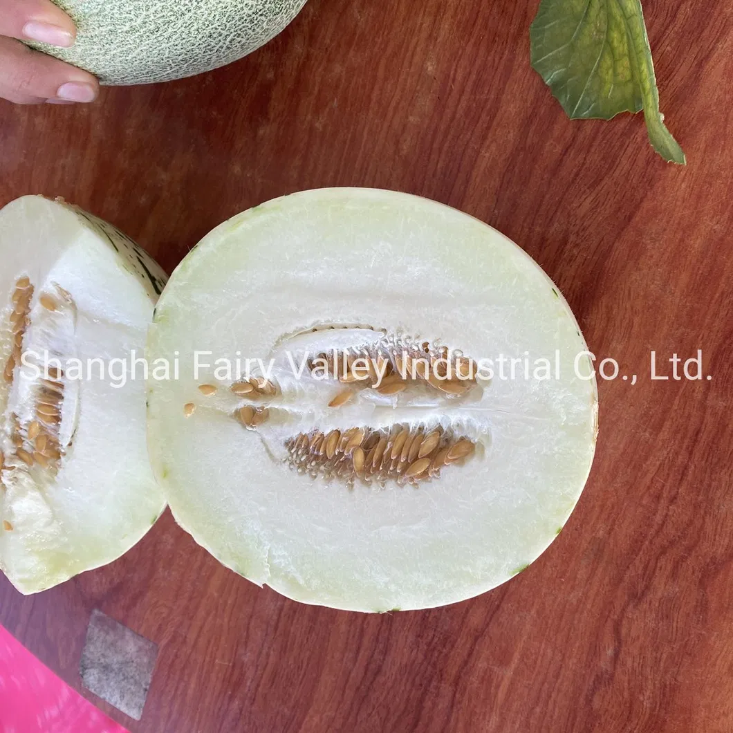 High Quality Hybrid F1 Sweet Melon Seeds for Planting-White Meteor No. 1
