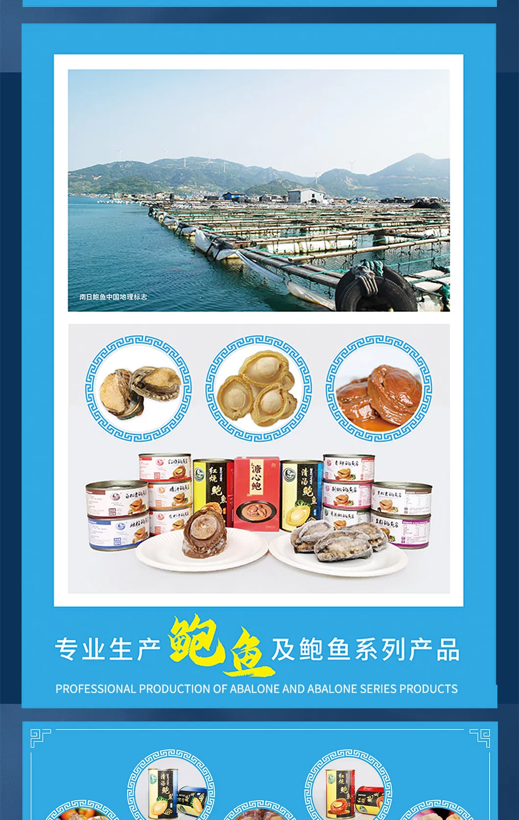 Stewed Abalone with Brown Sauce Sh5/160g for Export From China