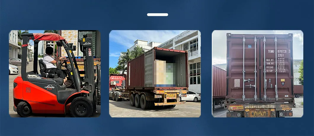 Stewed Abalone with Brown Sauce Sh5/160g for Export From China