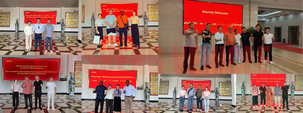 Brand New Sinotruk HOWO 371HP or 400HP HOWO 6X4 8X4 Dumper Tipper Dump Truck