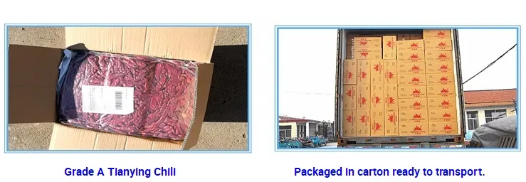 Factory-Customized Chinese Hala Healthy and Delicious Bulk Condiments Garlic Spicy and Hot Chili Sauce