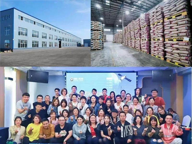 Factory-Customized Chinese Hala Healthy and Delicious Bulk Condiments Garlic Spicy and Hot Chili Sauce