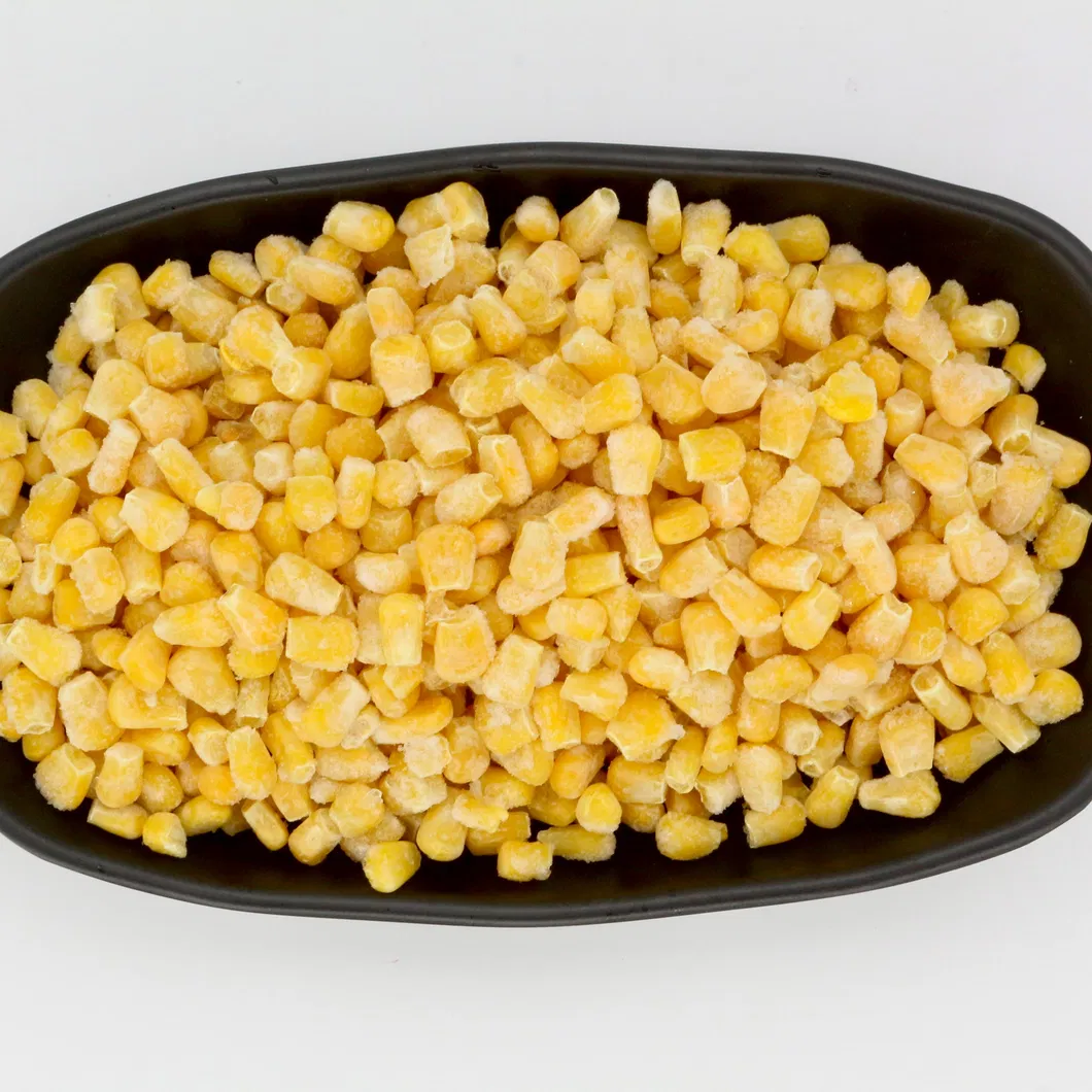IQF Top Rated Popular Fresh Frozen Sweet Corn Kernel