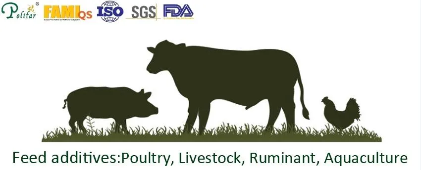 Bulk Sale Feed Grade Dl-Methionine 99% for Broiler Chicken Feed