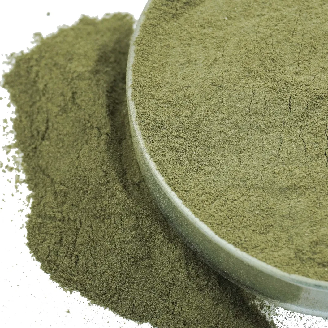 Factory Supply Pure Natural Plant Seaweed Powder